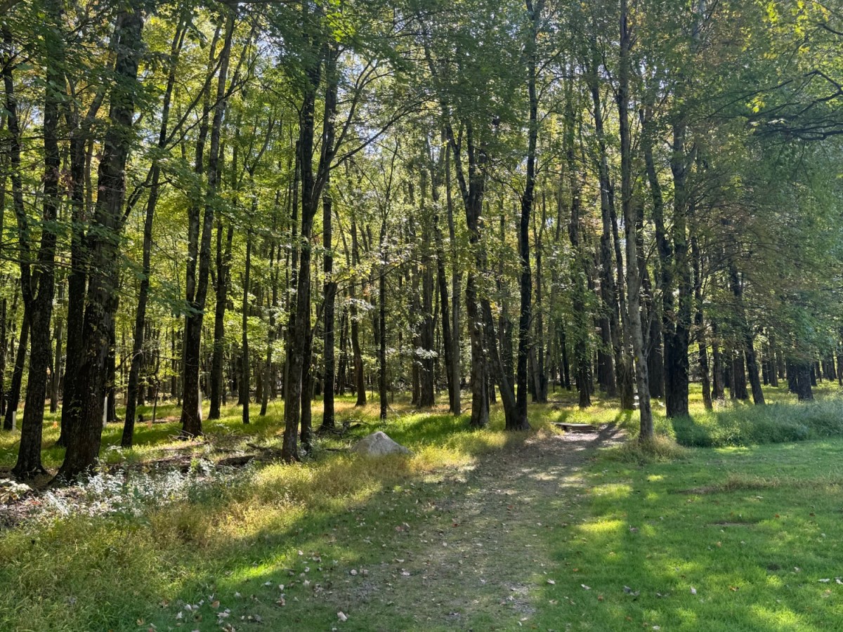 Go where it’s&nbsp;warm