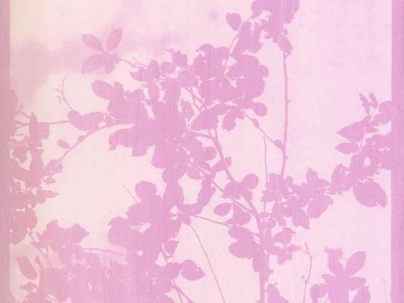 the spring of&nbsp;life