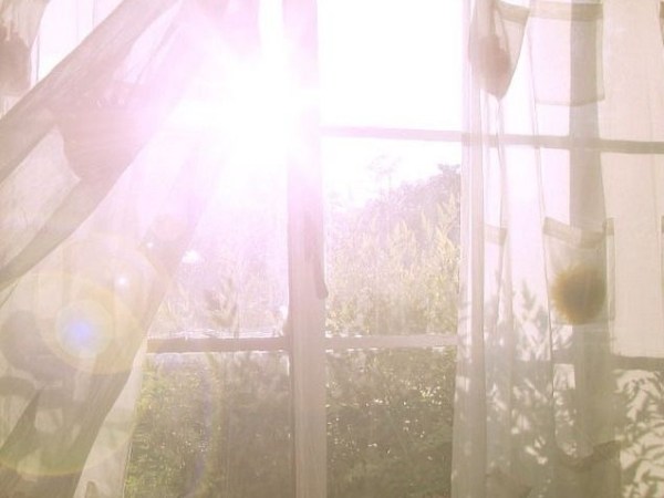 I will wait for you, my&nbsp;wildflower