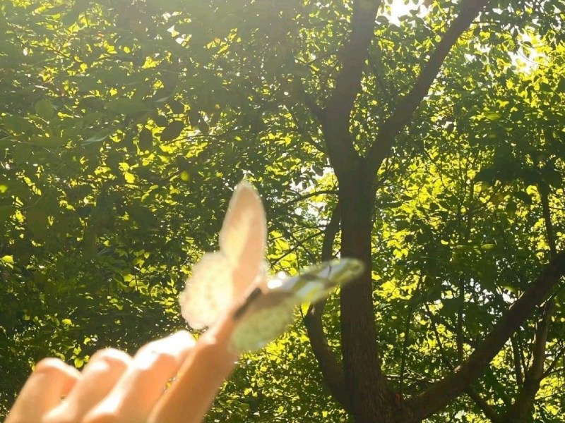 how sweet is the&nbsp;morning